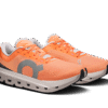 Herren Cloudflow 5