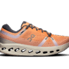 Herren Cloudsurfer 2