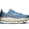 Herren Cloudsurfer Max
