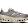 Herren Cloudsurfer Max