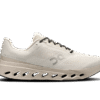 Herren Cloudsurfer Next