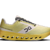 Herren Cloudsurfer Next Z5