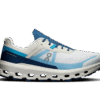 Herren Cloudvista 2