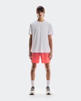 Herren Focus-T