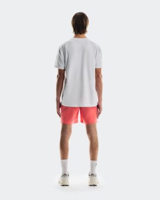 Herren Focus-T