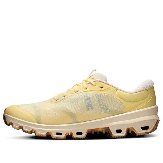 On Running x LOEWE Cloudventure 2 «Gelb-Braun-Grau»
